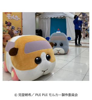PUI PUI モルカー
